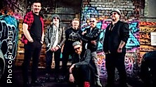 Climax Blues Band
