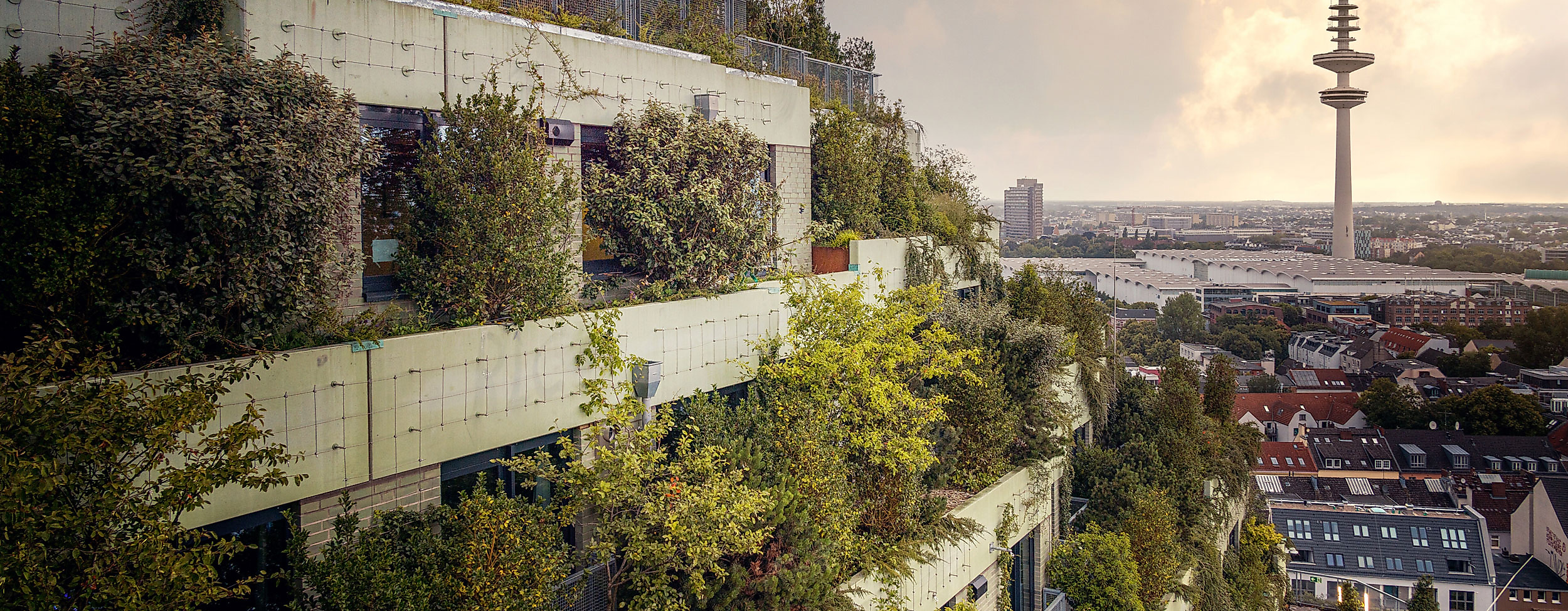 Grüner Bunker St. Pauli