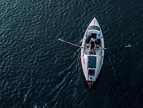 Row of Life | OmU