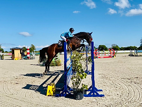 Springturnier im Reitsportzentrum Fehmarn
