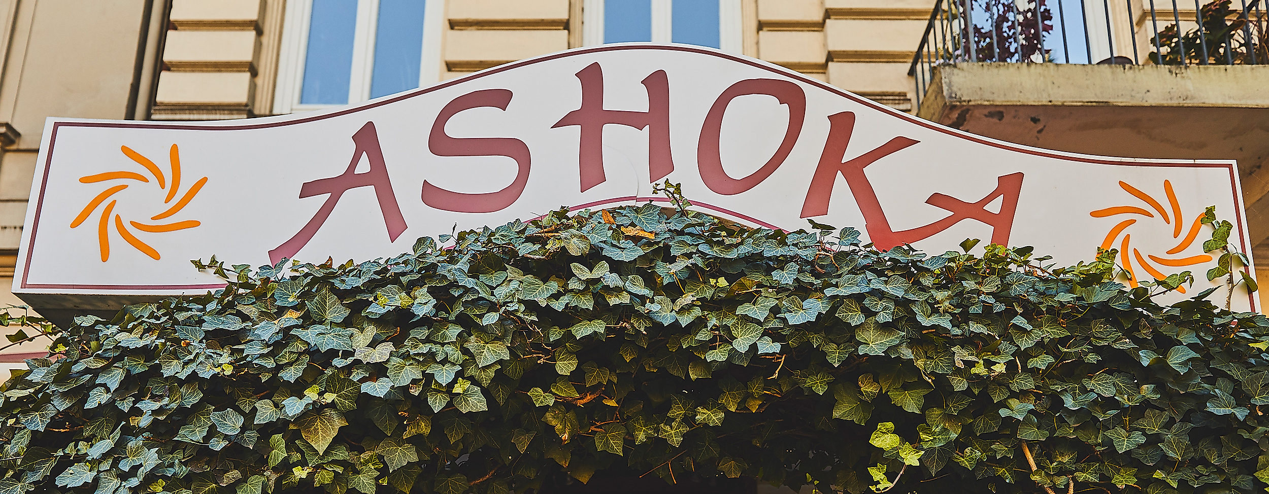 ashoka_c-2018-thisisjulia-photography-1