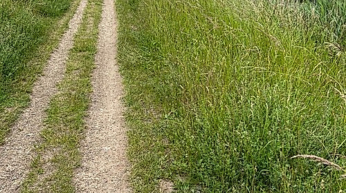 Es war einmal... Ein märchenhafter Pilgerspaziergang
