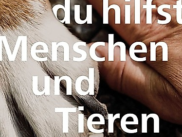 „Gott, du hilfst Menschen und Tieren" - Ökumenischer Gottesdienst zum Tag der Schöpfung 2025
