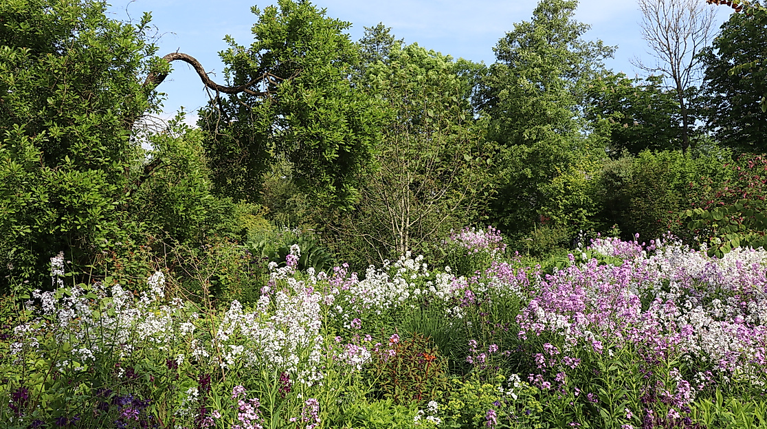 Mori-Garten-Odisheim