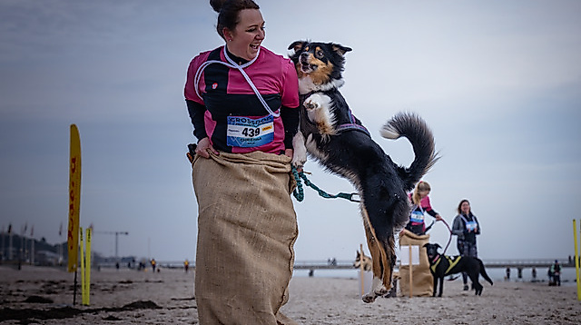Crossdog on the Beach