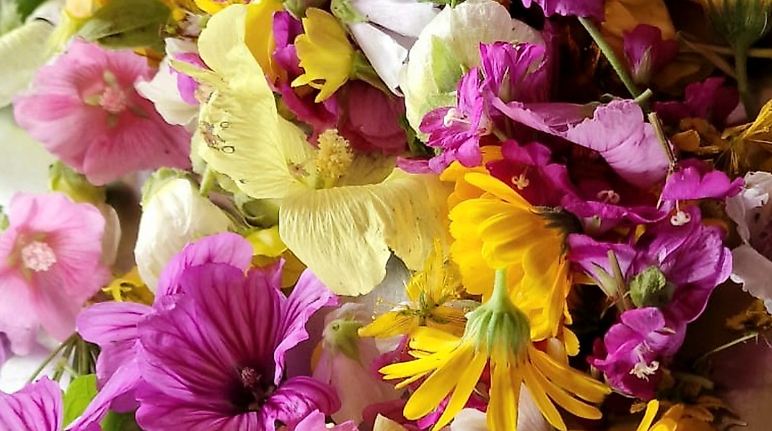 Kräuter-Genuss-Woche intensiv in Lübeck