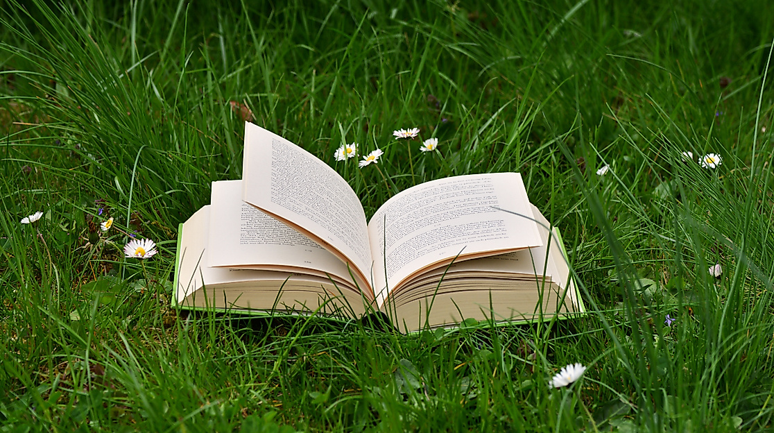 Offenes Buch auf einer Wiese