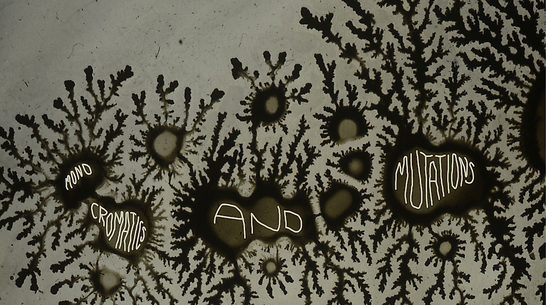 BILD_PaK(c)-Corrina-Goutos