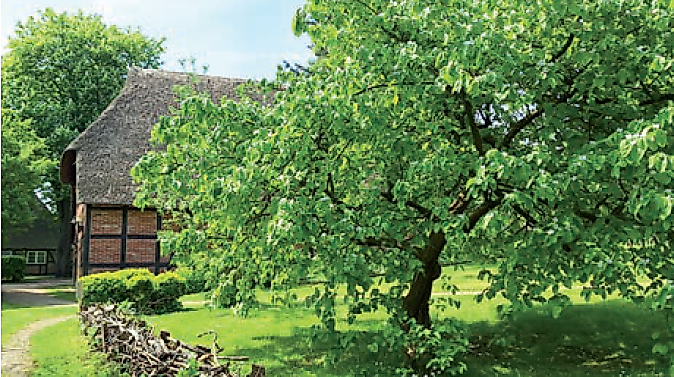 Essbare Landschaften