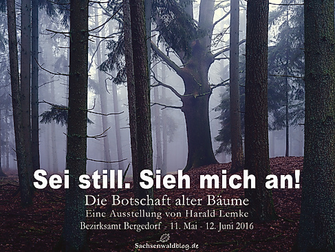 Ausstellungsplakat