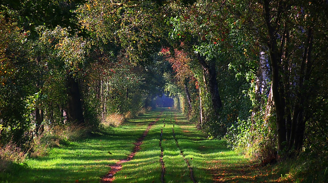 Herbststimmung