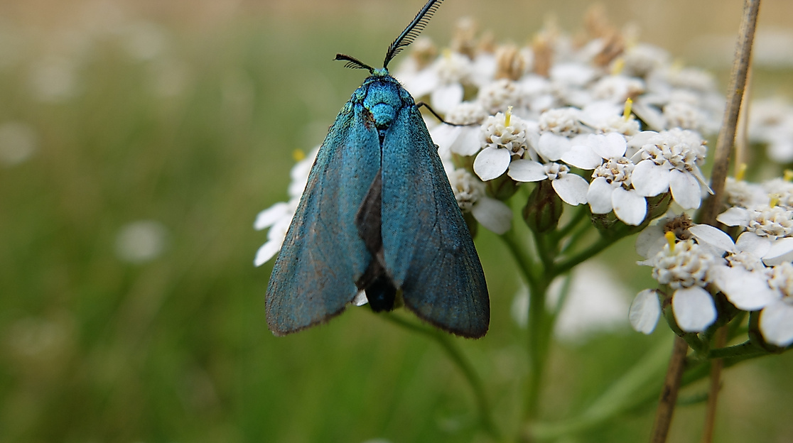 Wenn das Jahr erwacht