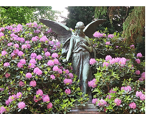 Friedhof Ohlsdorf Engel