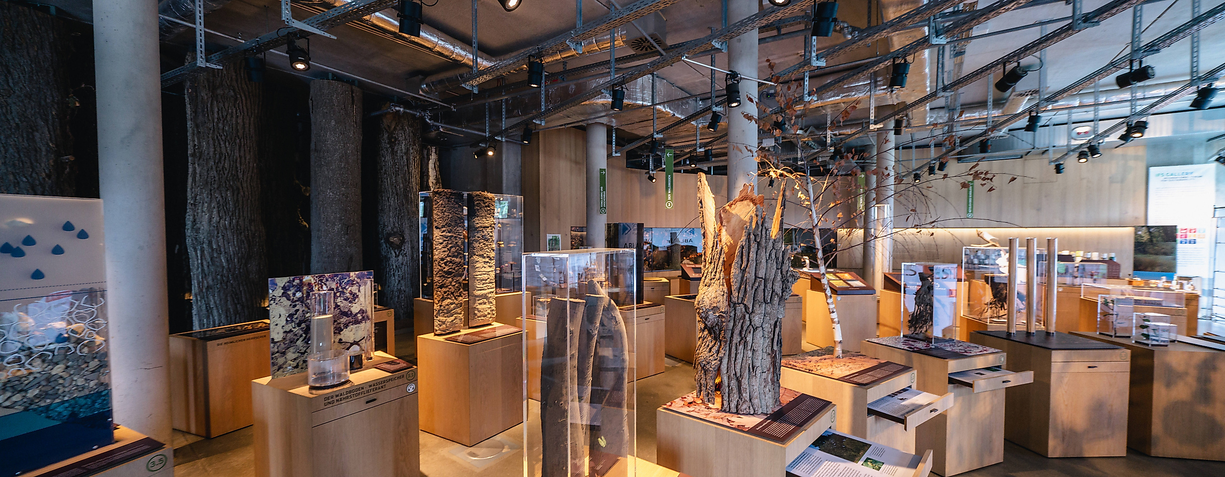 Science Center im Wälderhaus