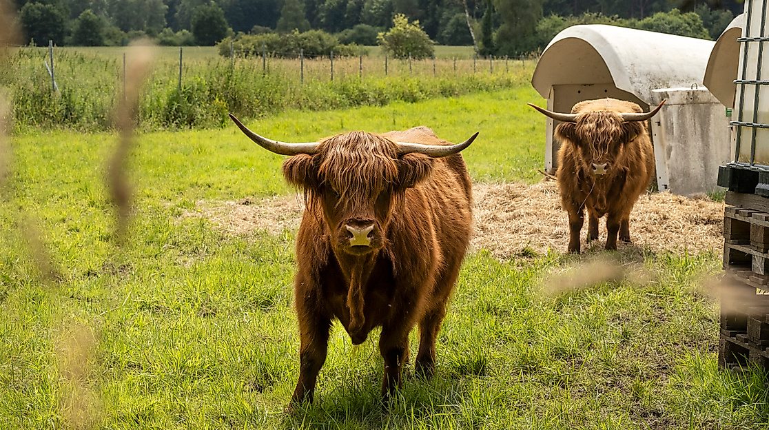 Hof-Markt mit Verkostung