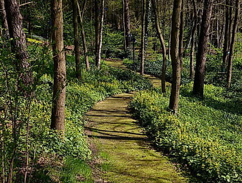 Gartenöffnung Landschaftsgarten