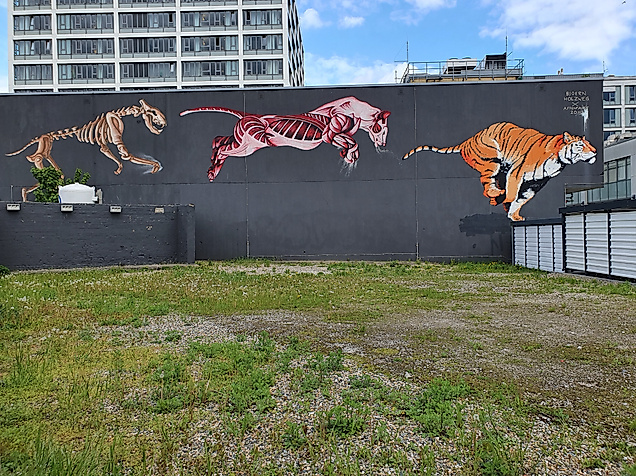 Street-Art-Gemälde mit vier stilisierten Großkatzen an einer schwarzen Wand vor moderner Wohnbebauung