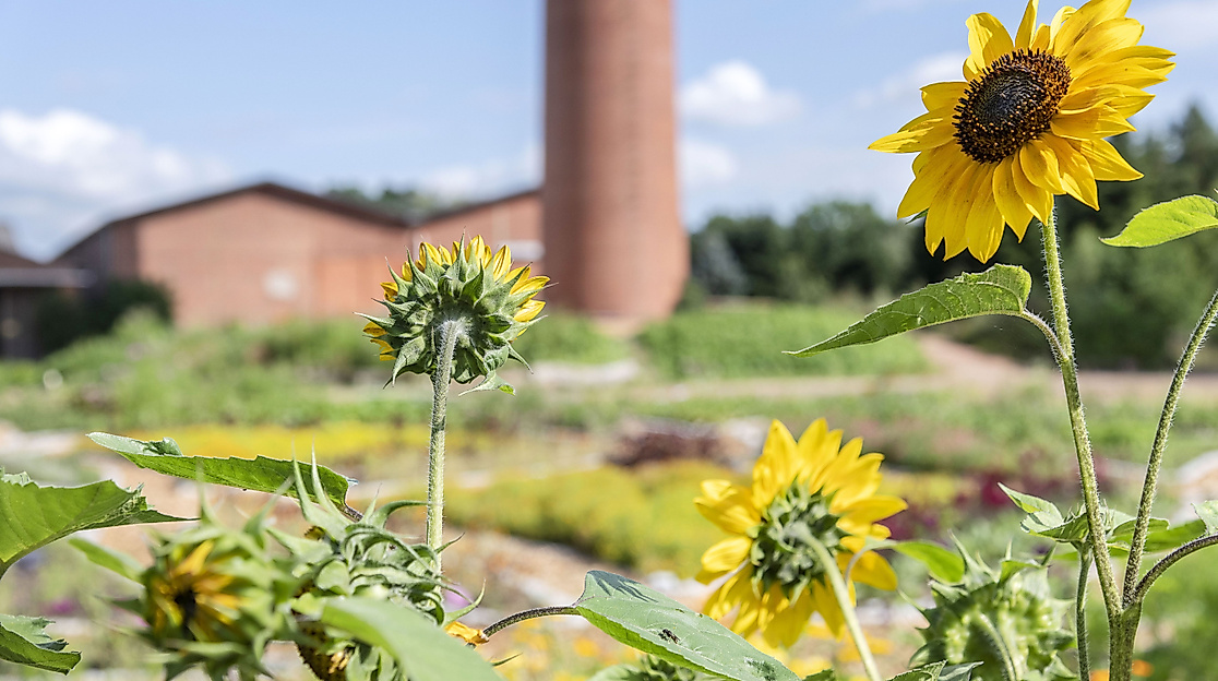 Blume des Lebens_Hof an den Teichen
