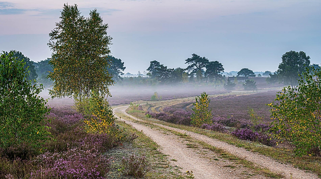 Vollmondwanderung auf dem Heidschnuckenweg