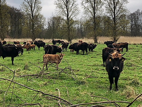 Tag der offenen Flur ERNA e.V.