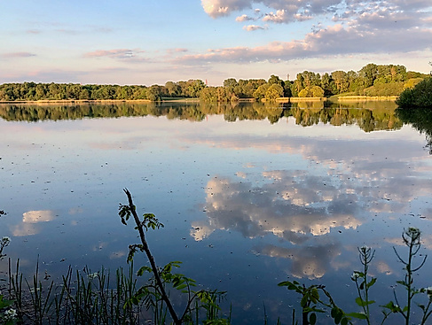 Wandsbeker Hausrunde