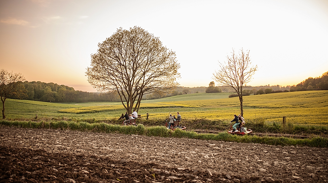 Rapsblütenfahrt mit der Naturpark-Draisine