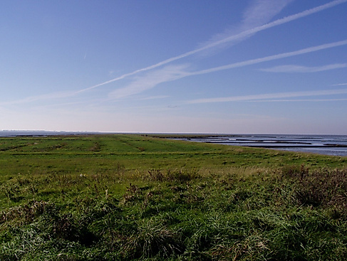 Salzwiesenwanderung "Helmsand"