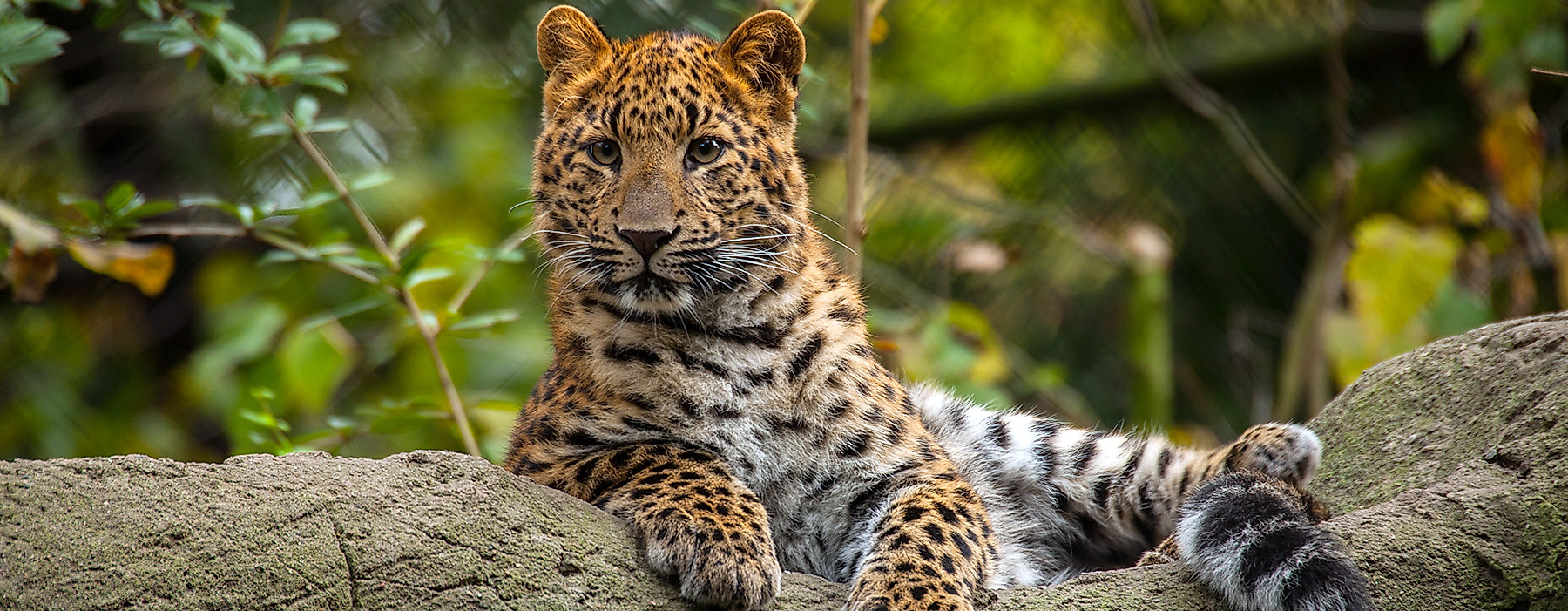 Tierpark Hagenbeck