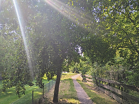 Pilgern auf historischen Spuren - "Vom Eise befreit..."