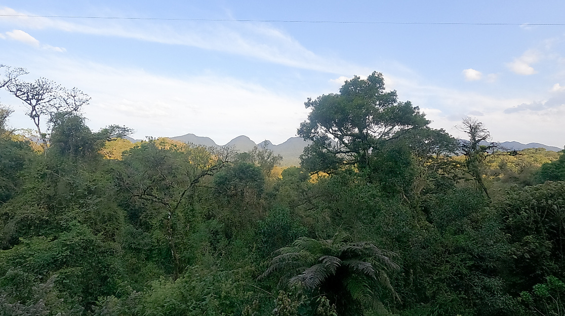 Mit dem Serra Verde Express, die von Morretes nach Curitiba durch den Atlantischen Regenwald