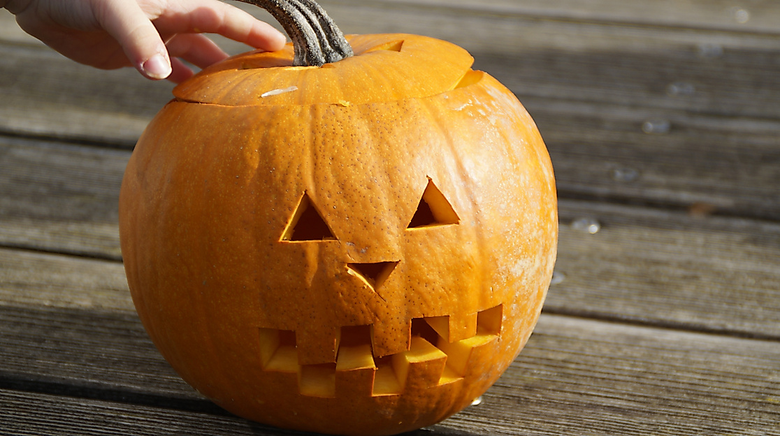 Kürbisse für Halloween