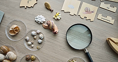 poi-botschaftderwildtiere-deutsch-wildtier-stiftung_00807_christian_brandes_web_2500x1500