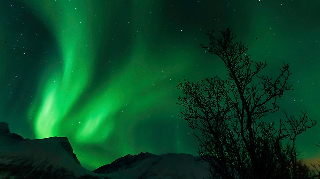 Polarlichter von der Arktis bis in die Lübecker Bucht