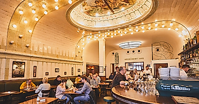 cafe-paris_c-2018-thisisjulia-photography-4