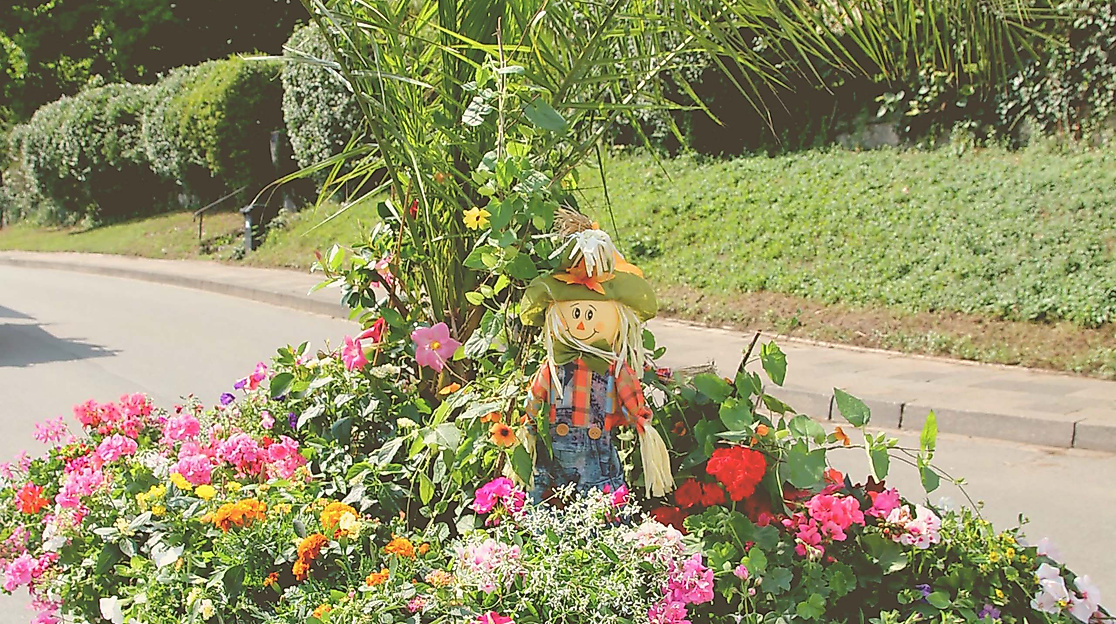 Malenter Schützenfest - Festumzug