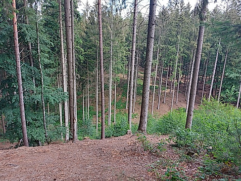 Radtour zum "Langen Otto"