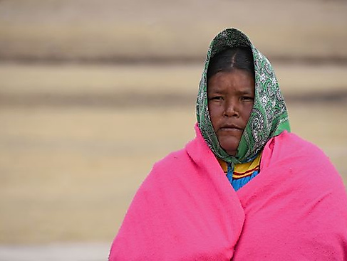 Mexikanische Madreuscadora