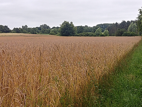 Pilgern durch die Jahreszeiten