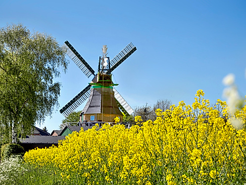 Kulinarisches an der Mühle