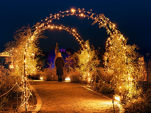Christmas Garden
