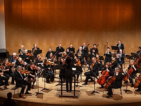 Hamburger Juristenorchester
