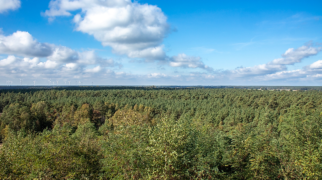 Aussicht vom Wietzer Ölberg