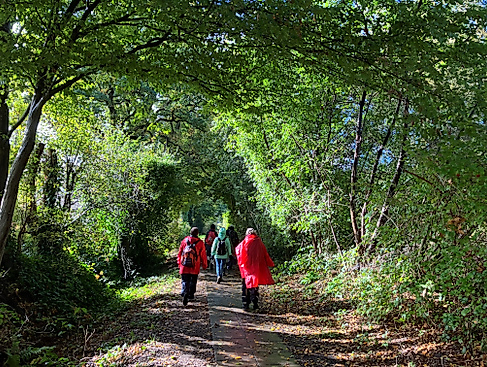 Pilgern durch die Jahreszeiten