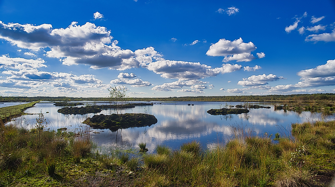Himmelmoor im September