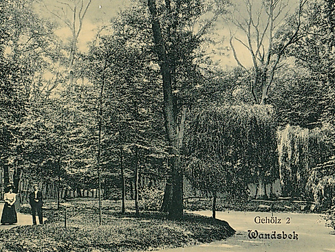 Ausflug ins Wandsbeker Gehölz. Postkarte o. D.