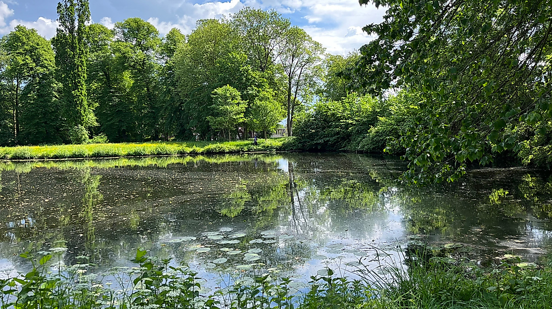 Teich in Glückstadt