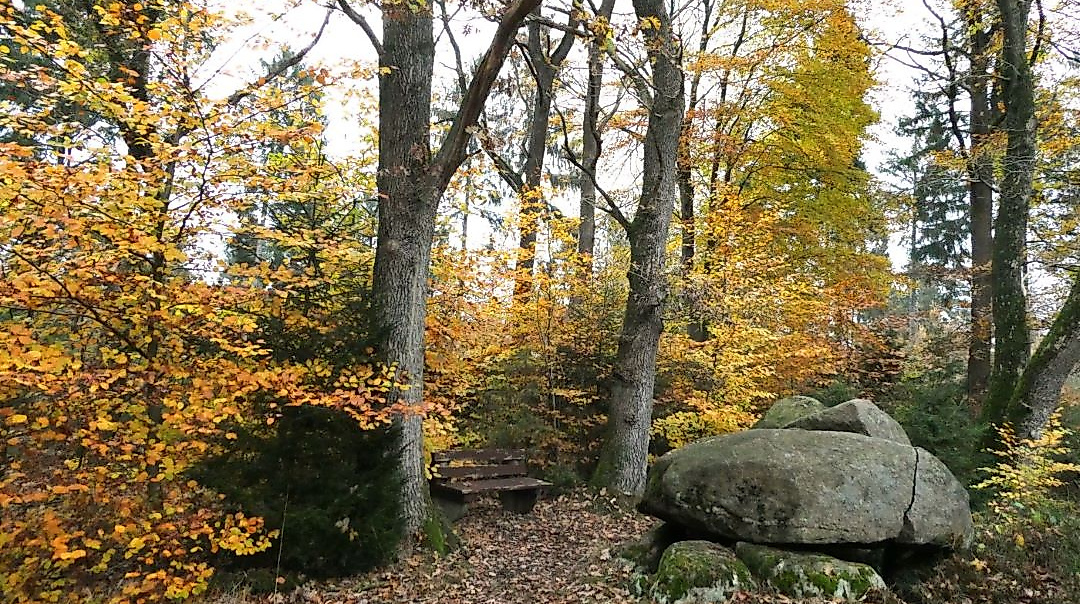 Hohensteinsforst