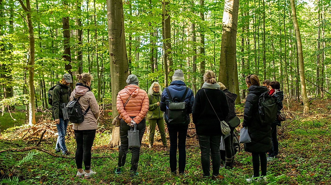 Kräuterwanderung im Frühling