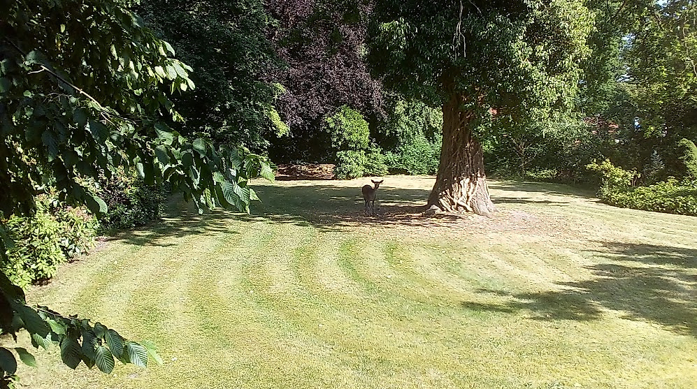 Gartenöffnung Garten Waidmann’s Ruh