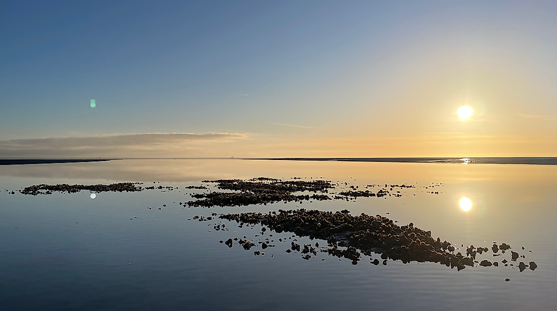 Wattführung "Lichtmomente"